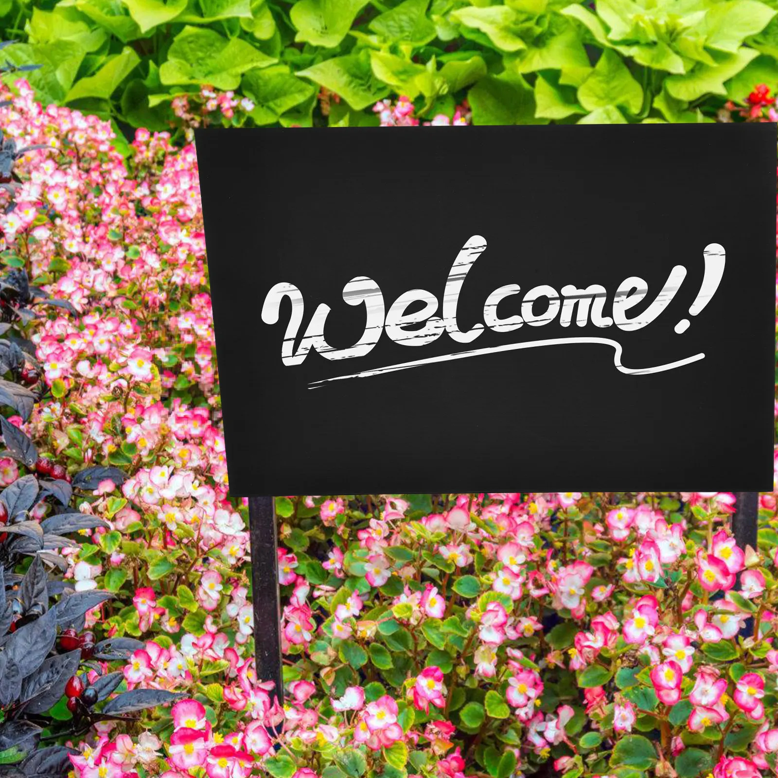 ป้ายป้ายสนามแบบเรียบสีดำด้าน 2 - Yard Sign Blank บทวิจารณ์และราคา