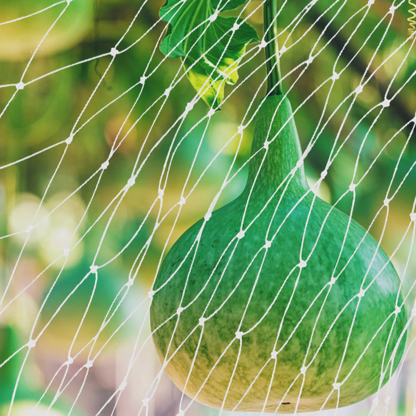 

Garden Netting 25M X 1.8m Strong Wear-Resist Nylon Mesh for Bird Squirrel Protection Fruit Tree Plant Cover Outdoor Use