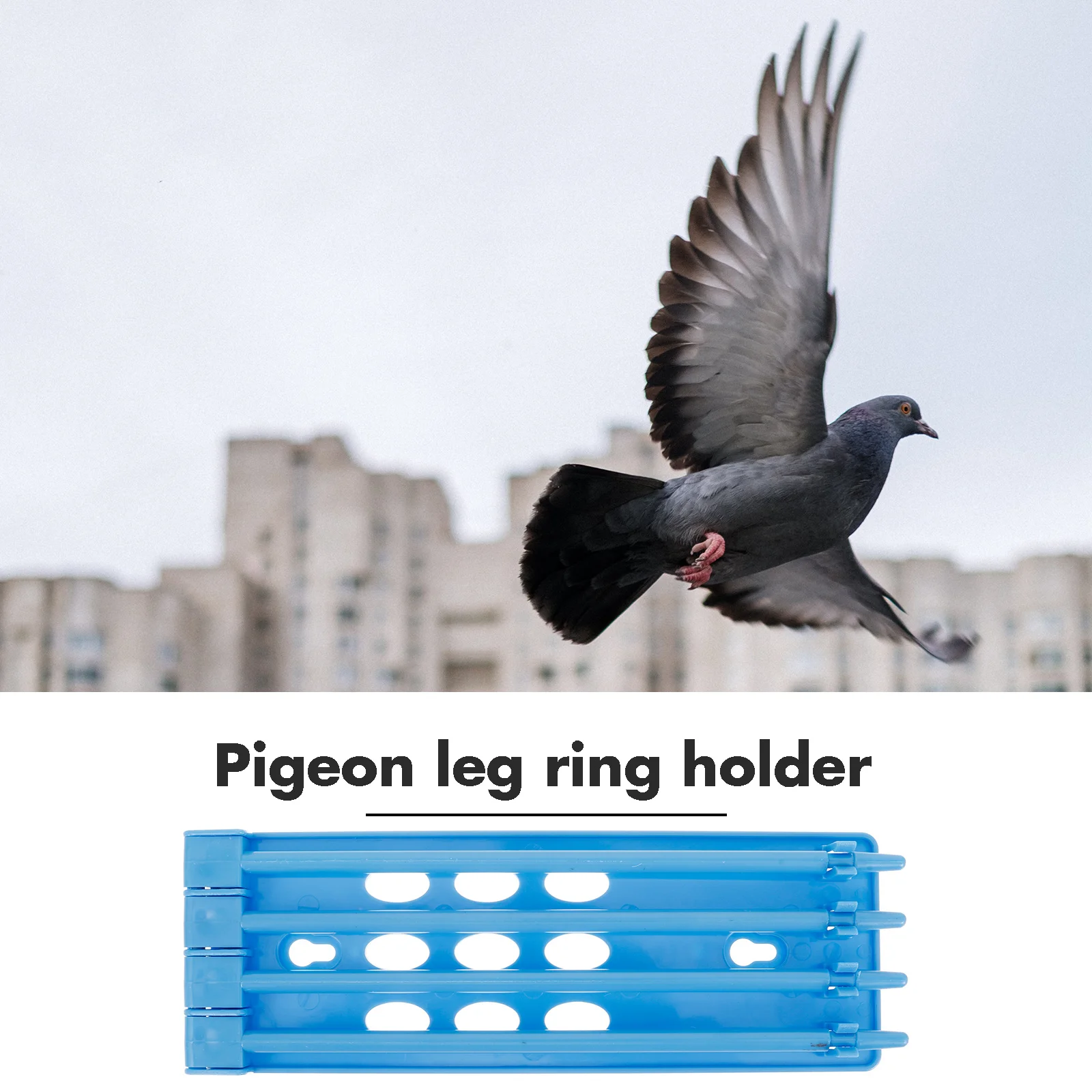 Pigeon Leg Band Holder Durable Plastic Rack for Convenient Storage and Management Racing Pigeon Rings Bird Foot Rings Holder