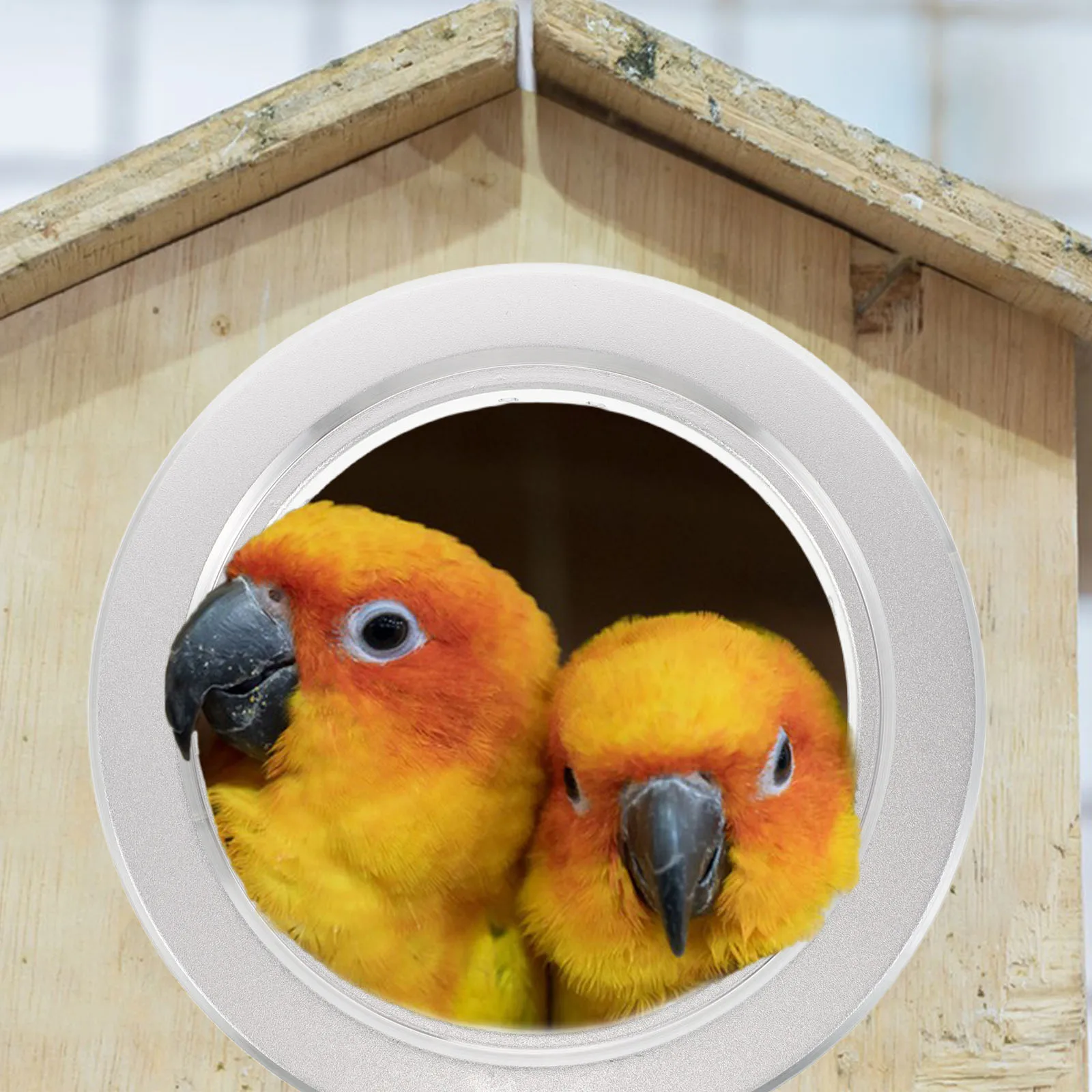 

1 set 1 Set Aluminum Alloy House Ring Parrot Nest Box Entrance Guard Anti-Bite Design Bird Cage Accessories Replacement Loop For