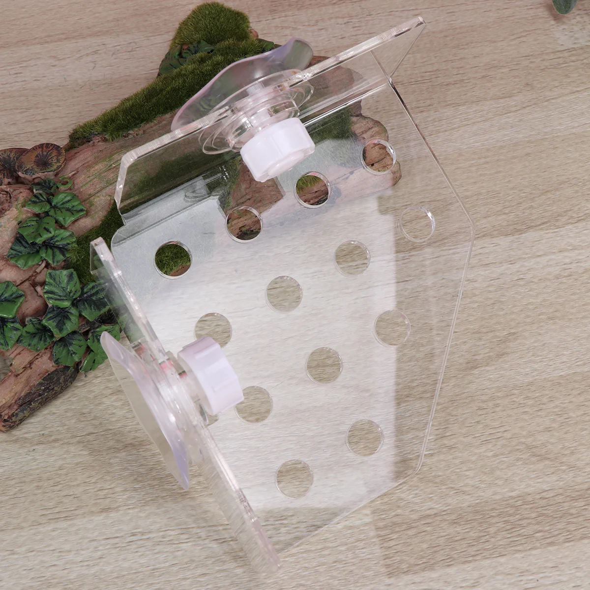 

Coral Rack Acrylic Durable Marine Sources Coral Bracket Plug Mount Fish Tank Aquarium Suction Cup Accessories