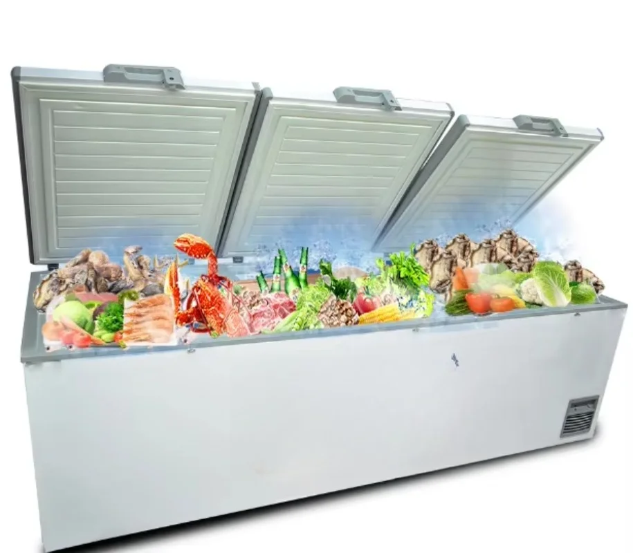 Hot Sale Packaging Horizontal  Large Freezer Price