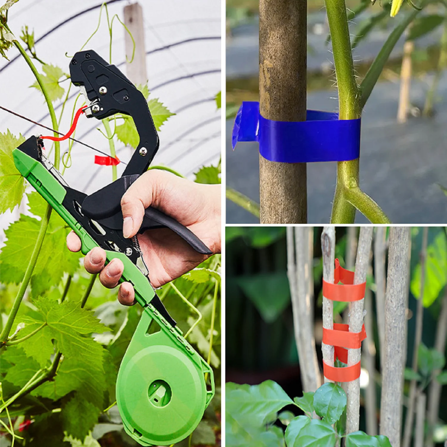 1PC Ribbon Strecth Tape Tapetool Tapener Branch Bind Stem fruit tree Strap Tool Plant Garden Trunk Connect Link Hand tying Stake