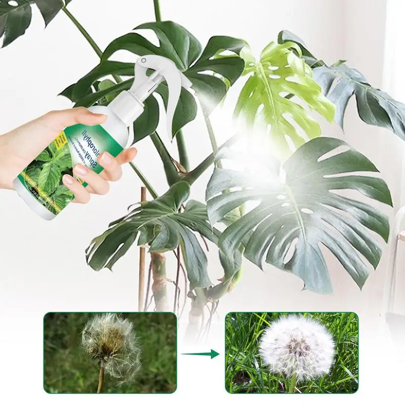 100ml Houseplant Fertilizer Spray Universals Whole Plant Nutrient Solution Natural Indoor Plant Nutrients For Houseplants Spray