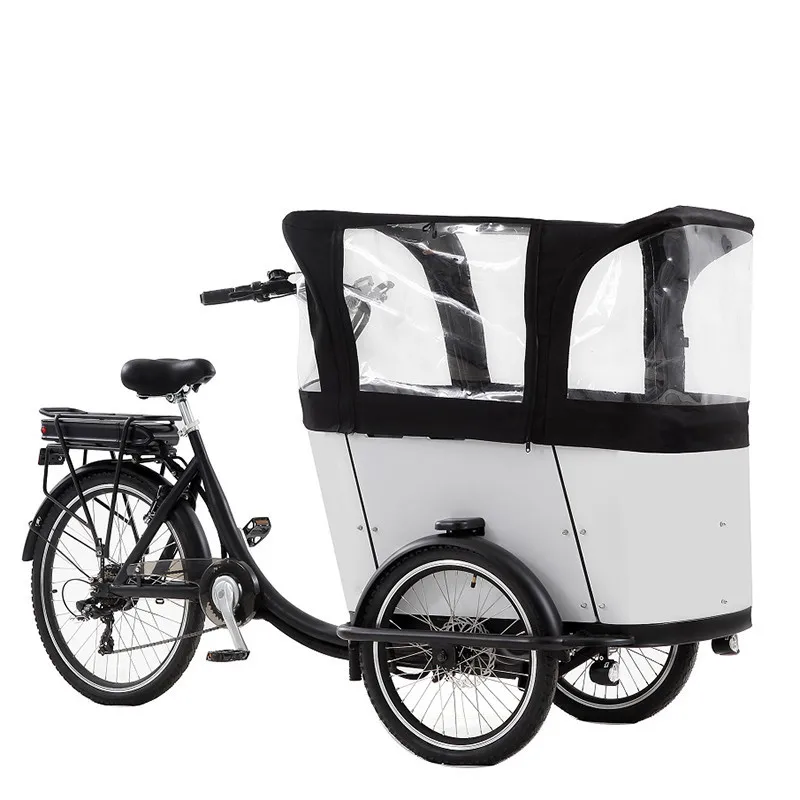 Electric Pedal 3 Wheels Cargo Bike With 250W Rear Motor For Carrying Kids Or Pets