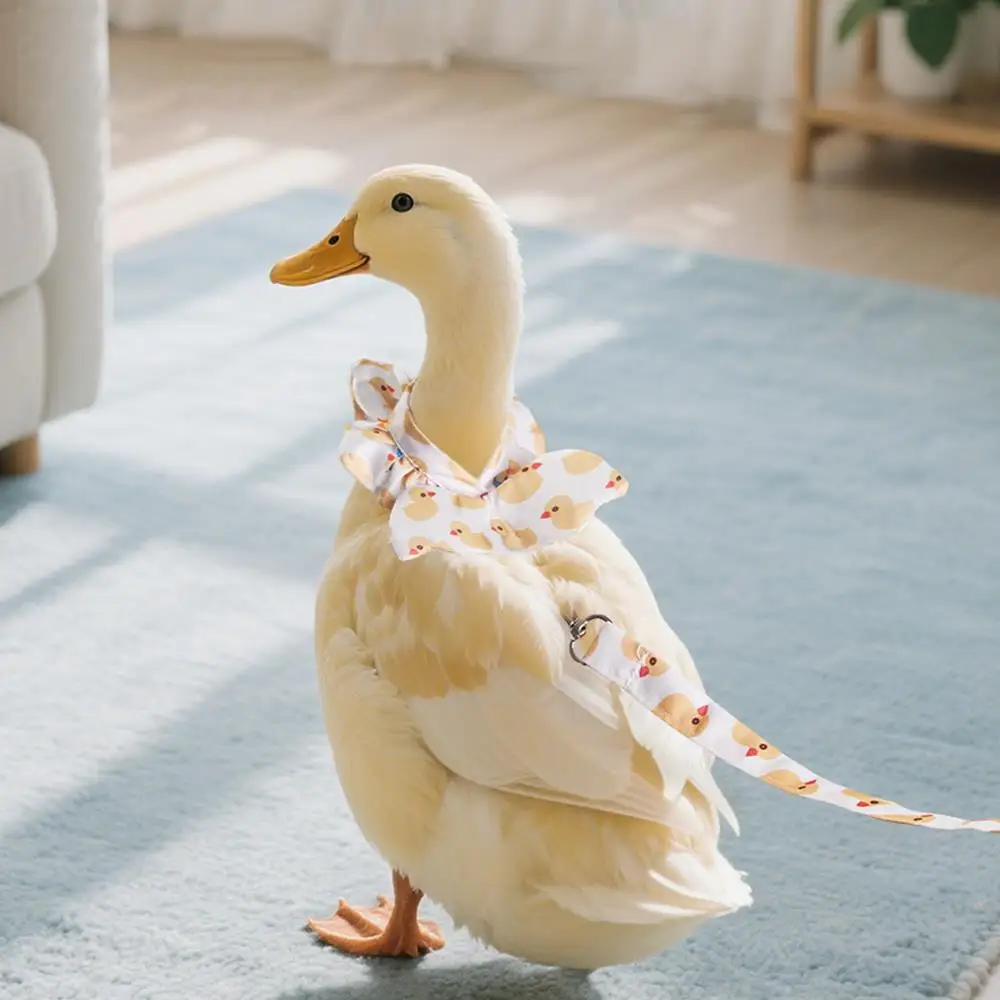 Hühner- und Enten-Zugleine, verstellbare Haustierkleidung, niedliche Haustierausflüge, Windel, Haustierbedarf, Vogelzubehör für größere Papageien – Detail 11