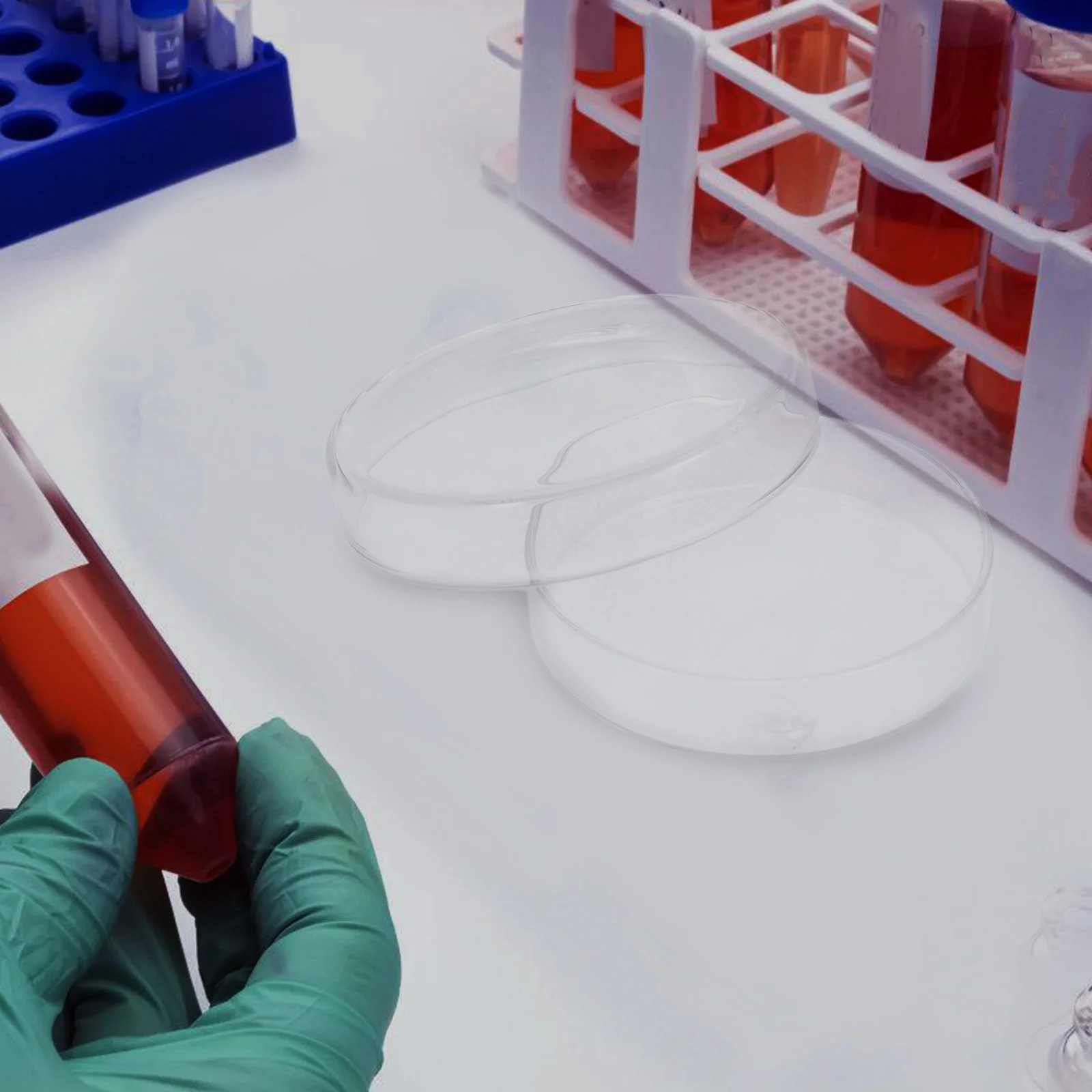 

Glass Petri Dish High Borosilicate Glass Reusable Laboratory Culture Dish Lightweight Smooth Surface for Accurate Science