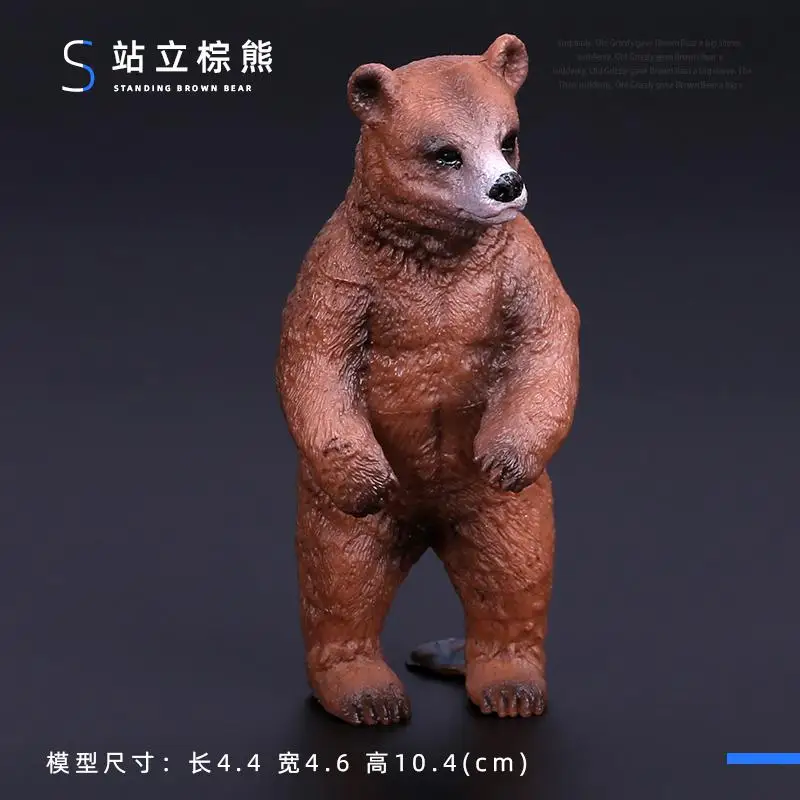 Simulatie Wilde Beeldjes Zwarte Beer Wombat Wasbeer Model Actiefiguren Bosdieren Speelgoed Woondecoratie Kinderen Onderwijs