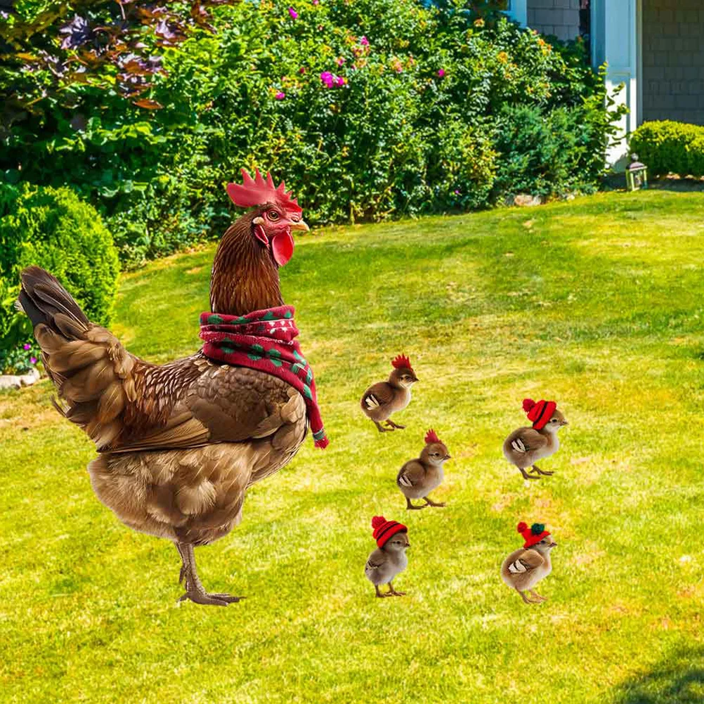 

1Set Iron Garden Decor Garden Chicken Insert Pointed Tip Design for Easy Installation Outdoor Yard Chicken Decor