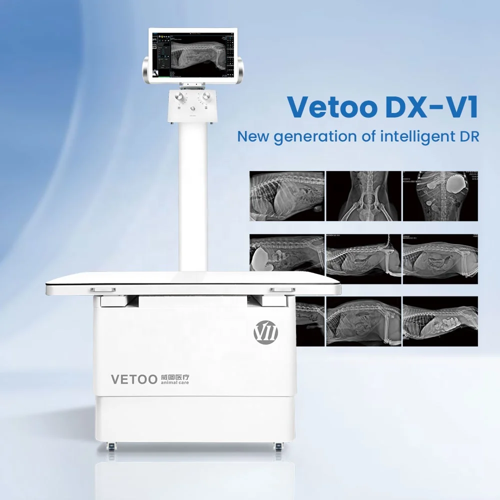 Vetoo DX-V1 Veterinary X-ray Imaging System AI Measurement Function CE Certified Advanced Digital X-ray For Veterinary Clinics
