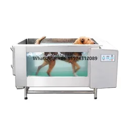 Maya medical wholesale price easy operating electric hydrotherapy dog underwater treadmill for Veterinary