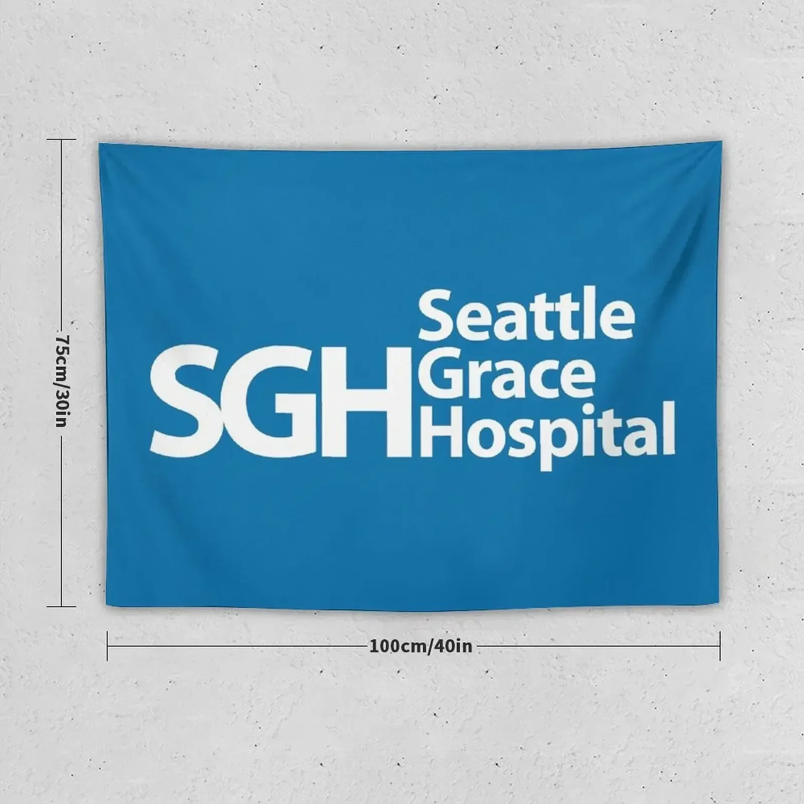 Seattle Grace Hospital Tapestry Aesthetic Room Decorations Anime Decor Korean Room Decor Tapestry