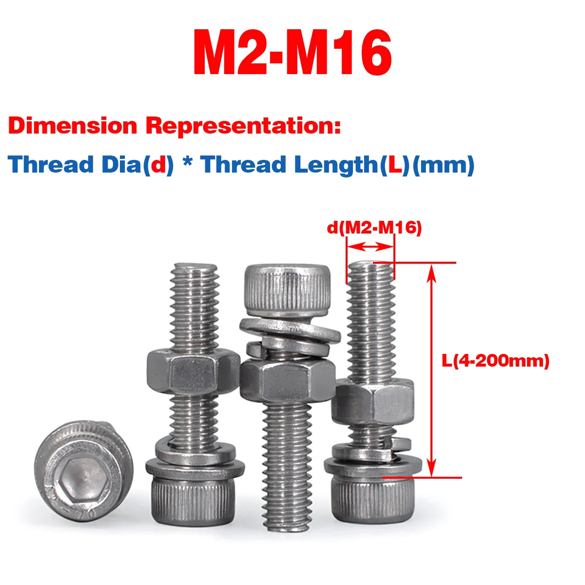 

304 SS Cup Head Hex Socket Screw Nut Flat Washer Spring Washer Combination M2-16