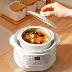 Electric Ceramic Slow Cooker Automatic Water-Sealing Bird's Nest Pot Stewing Wholesale Kitchen Appliance