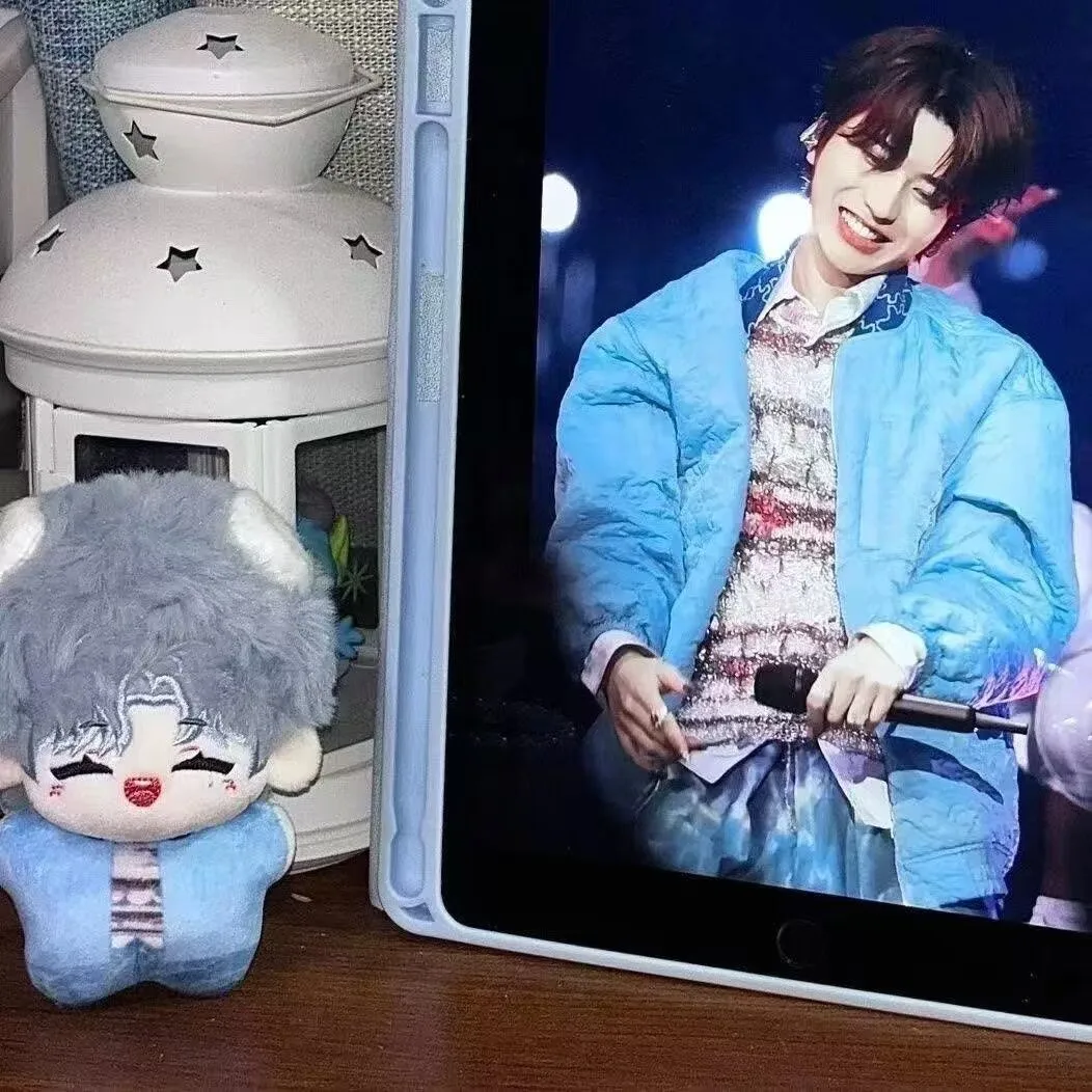 Mercancía original de Cai Xukun, muñeca de algodón estampada de 10 cm, mismo estilo que la mercancía oficial, regalo navideño perfecto para mujer