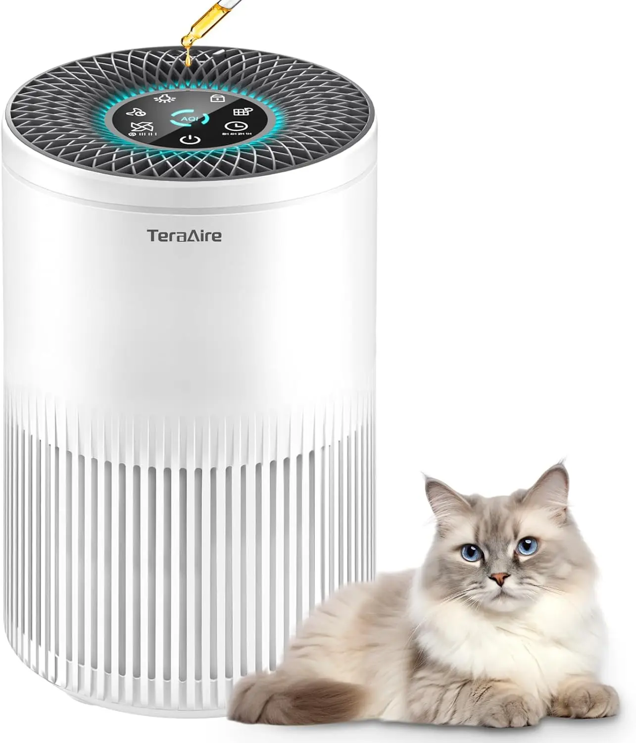 Air Purifiers For B… - image