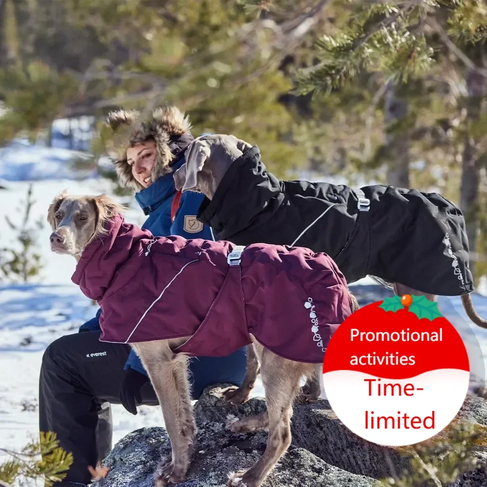 

Hot salesECO-Friendly Winter Dog Coat with Heat Reflective Lining, Adjustable Fit for Cold Weather Protection, Size 14 in