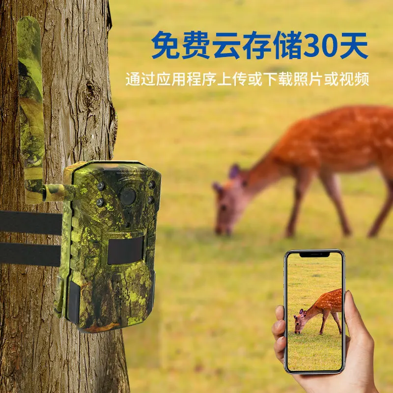 كاميرا Ruibin للكشف عن الحيوانات الخارجية عالية الدقة كاميرا مراقبة تعمل بالطاقة الشمسية مقاومة للماء #2