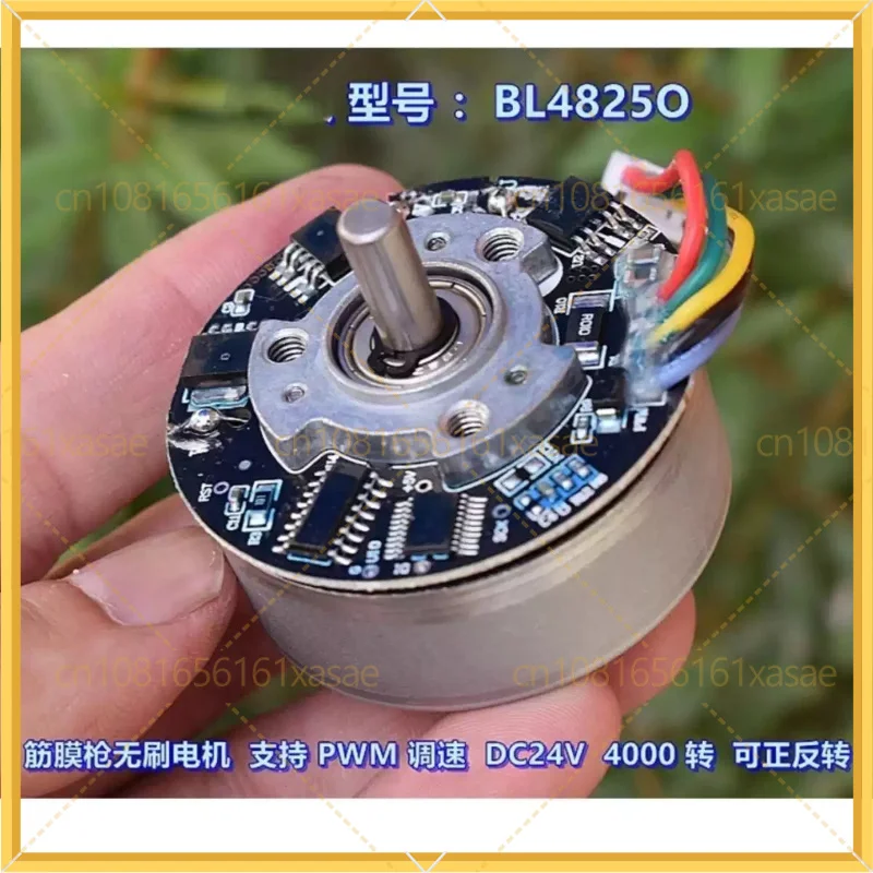BL4825O 24V DC Brushless Motor 4000RPM High Torque PWM Reversible For Fascial Gun