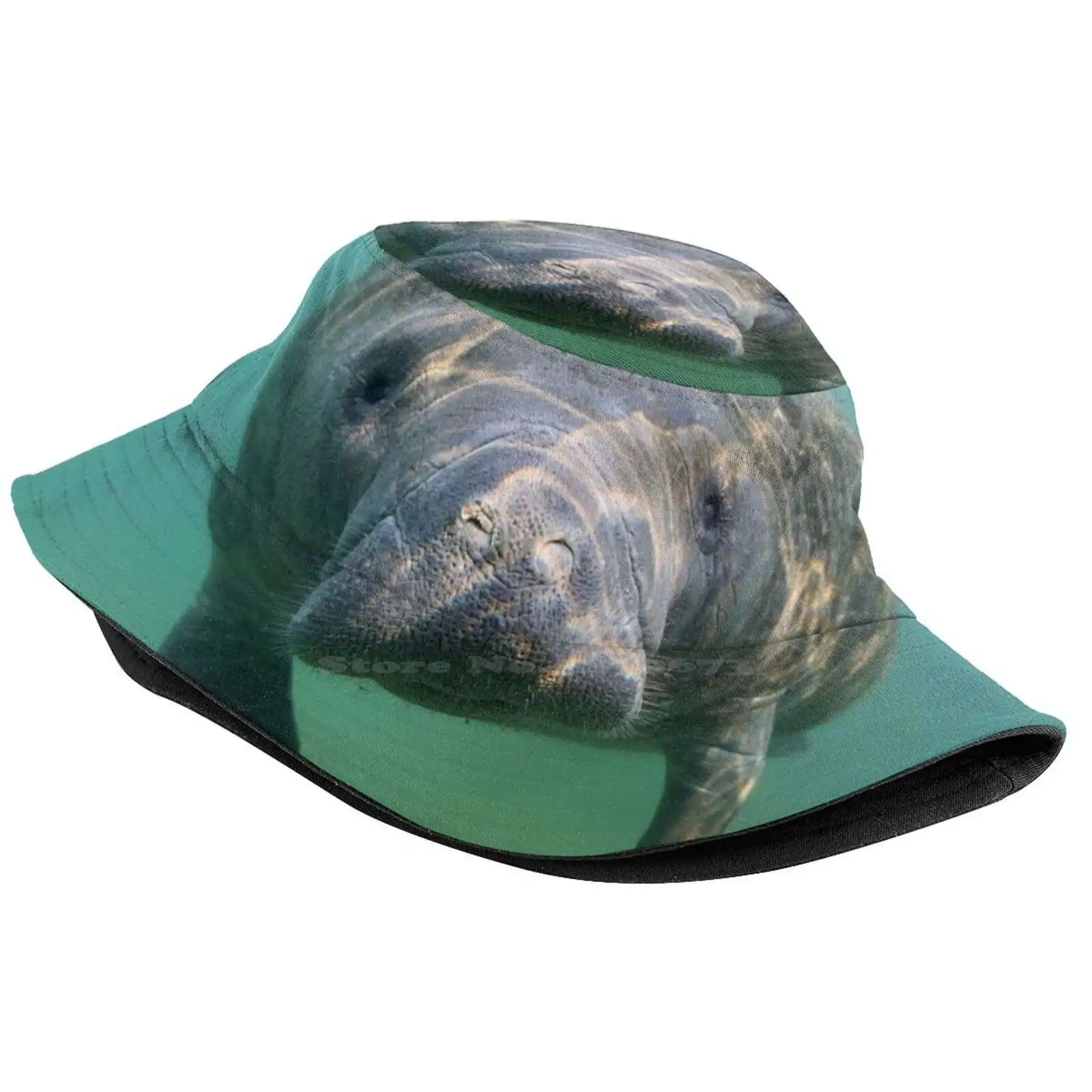 Manatee 3 Sun Cap Fisherman Hat Bucket Hats Manatee Marine Mammal Florida Wildlife Nature Underwater Spring Animal