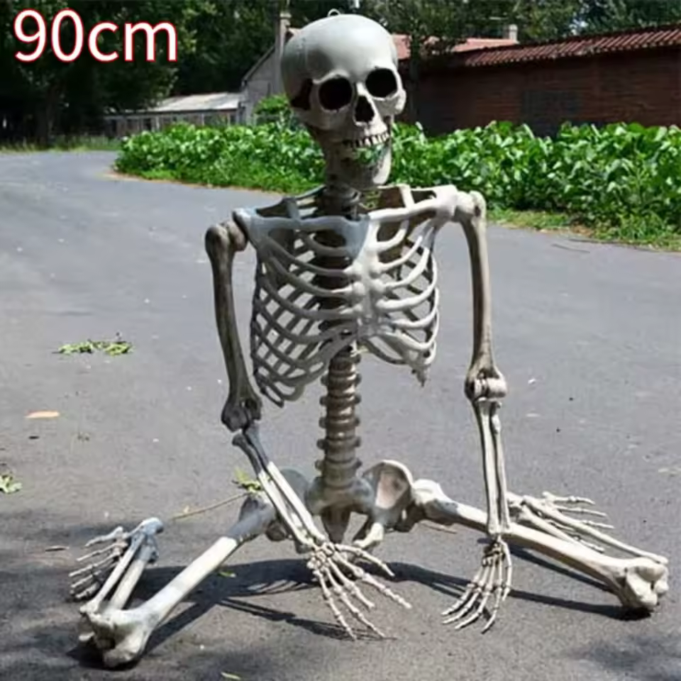 Esqueleto articulado colgante (90 a 120 cm)