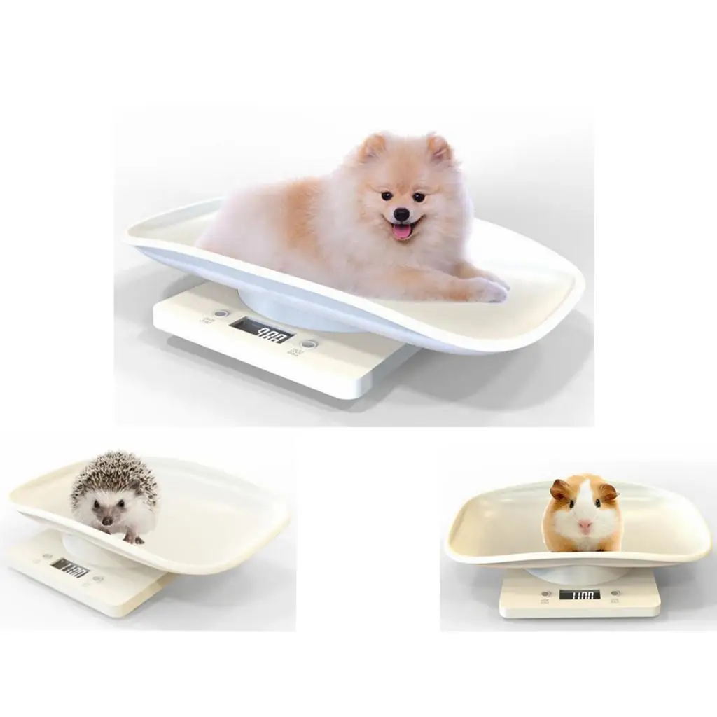 Hamster Scale High Accuracy Digital Weight Measure with Modern LCD for Small Pets Parrots and Cats