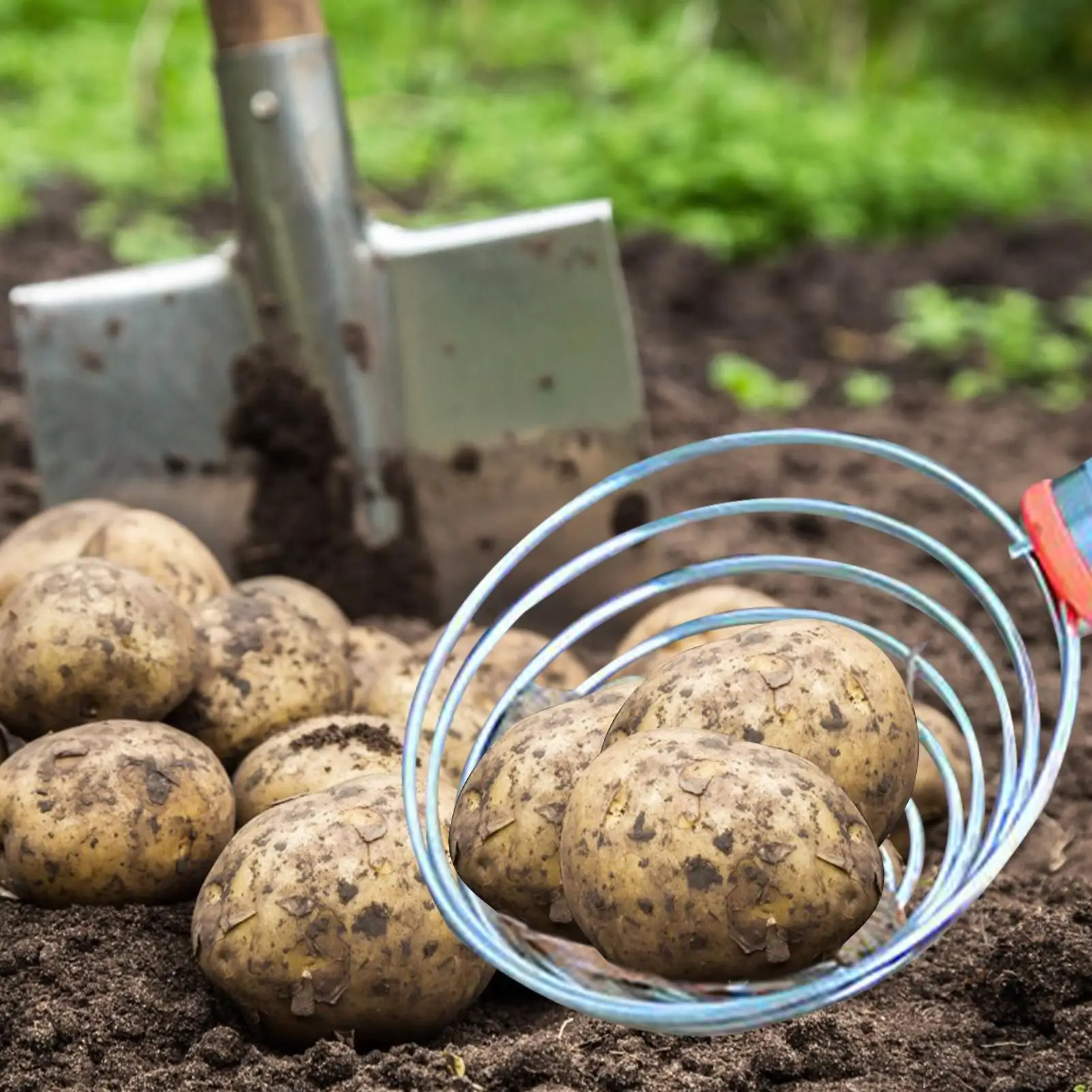 

Инструмент для сбора яиц, инструмент для сбора яиц, легкий гибкий садовый удлинитель, Reacher для обслуживания наружного сада, заднего двора, следов