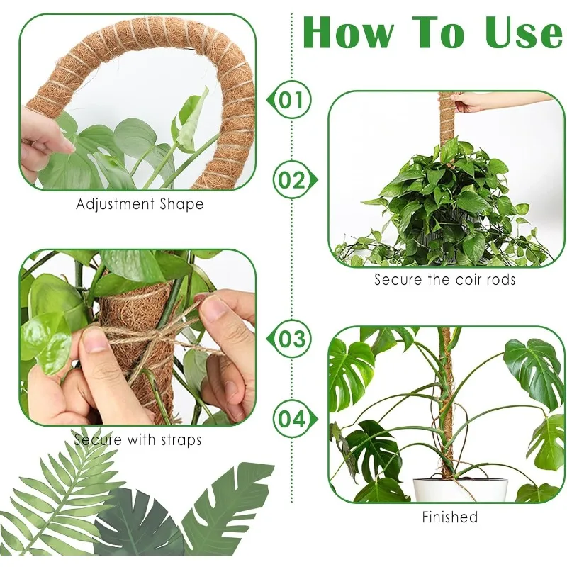 نباتات Monstera المتتالية مقاس 120 سم، نباتات داعمة للتتالي، ملحقات نباتات داخلية متتالية، مناسبة لنمو المتتالي. #5