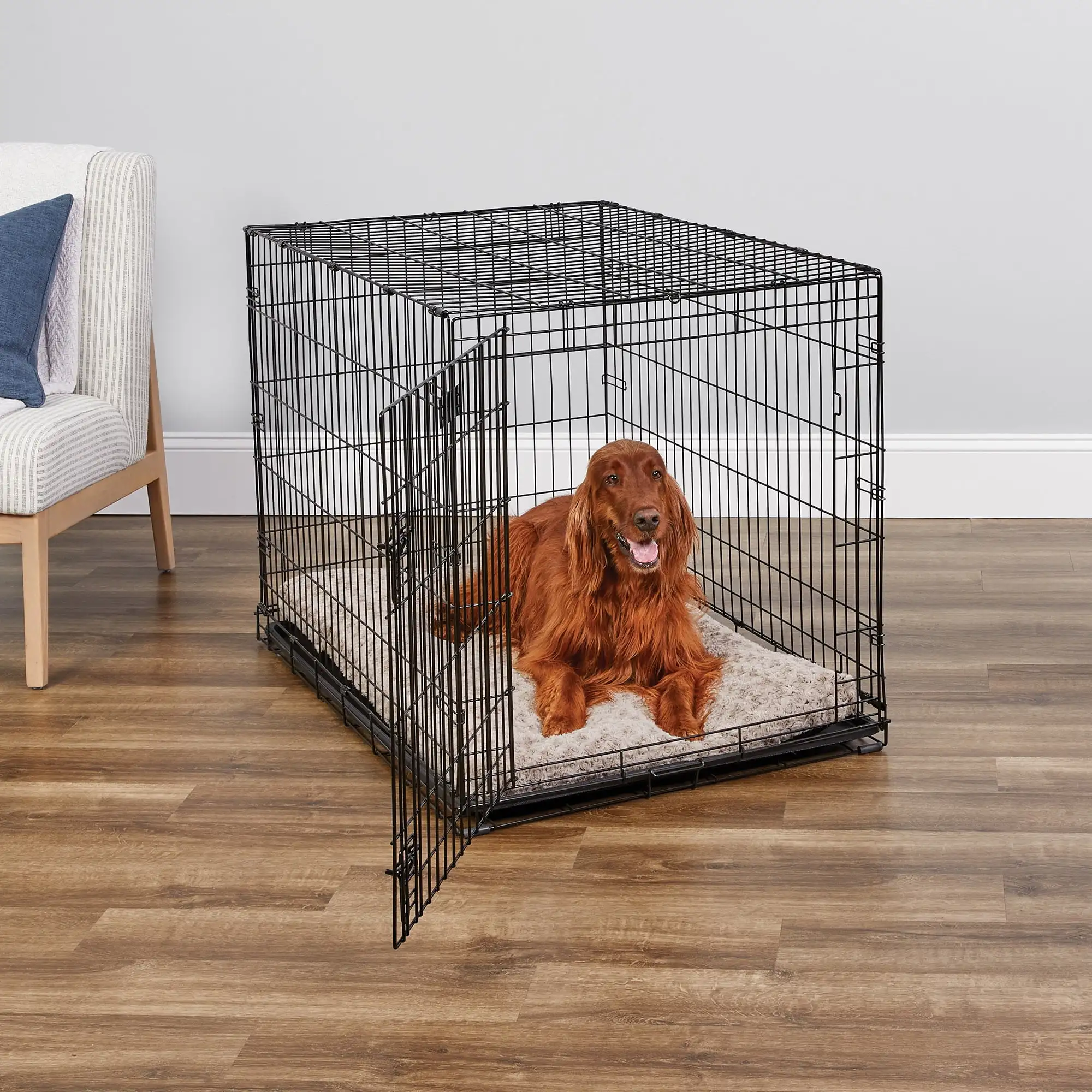 

MidWest Single Door iCrate Metal Dog Crate, Includes Leak-Proof Pan, Floor Protecting Feet, Divider Panel; 42-inch, Black