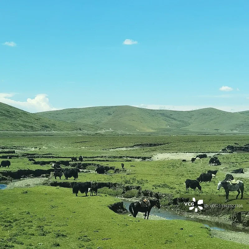 

Skydroid HD Mini 3-Axis Gimbal w/ Digital Map for T10/T12/H12 PP UAV - HD Trans & Anti-Shake