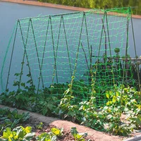 Plant Trellis Pergolas, Heavy-Duty Polyester Grow Net, Garden Trellis Netting With Square Mesh For Climbing Plants, Vegetables, 2