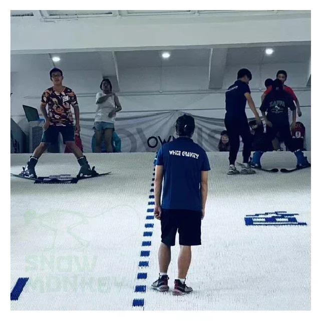 Sample Mushroom Dry Ski Mat Artificial Snow Slope SAMPLE