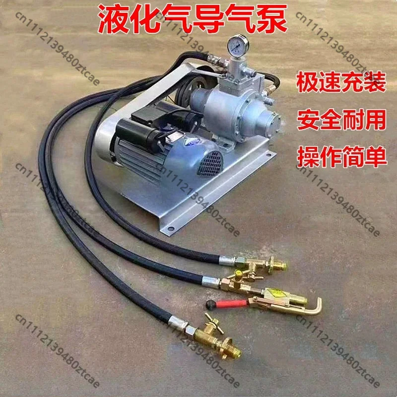 220V 12V 48V LPG Gas Filling Pump, Electric Liquefied Petroleum Gas Transfer Pump for Home & Vehicle