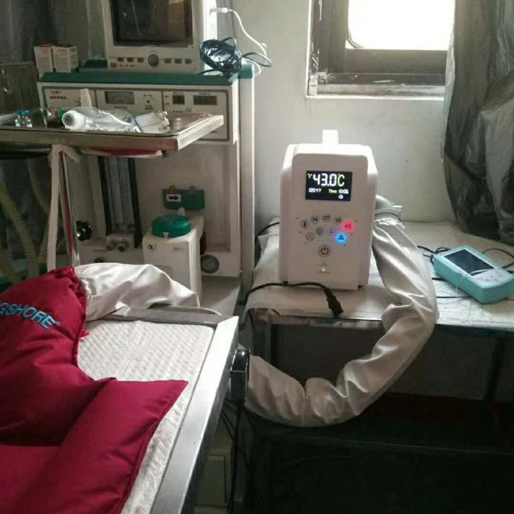 Patient Warming Blanket Machine for Veterinary Use