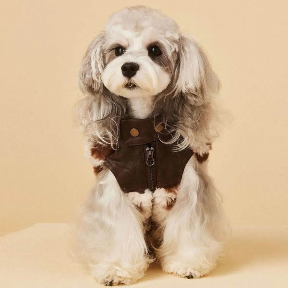 Designer Dog Clothes Pet Leather & Faux Fur Patchwork Jacket, Stylish Coat For Small Dogs (Maltese, Bichon, Yorkshire Terrier, S
