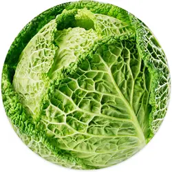 Fun Cabbage Blanket Healthy Green Vegetable Leaf Bed/Sofa Blanket Adult Soft and Lightweight Children's Gift