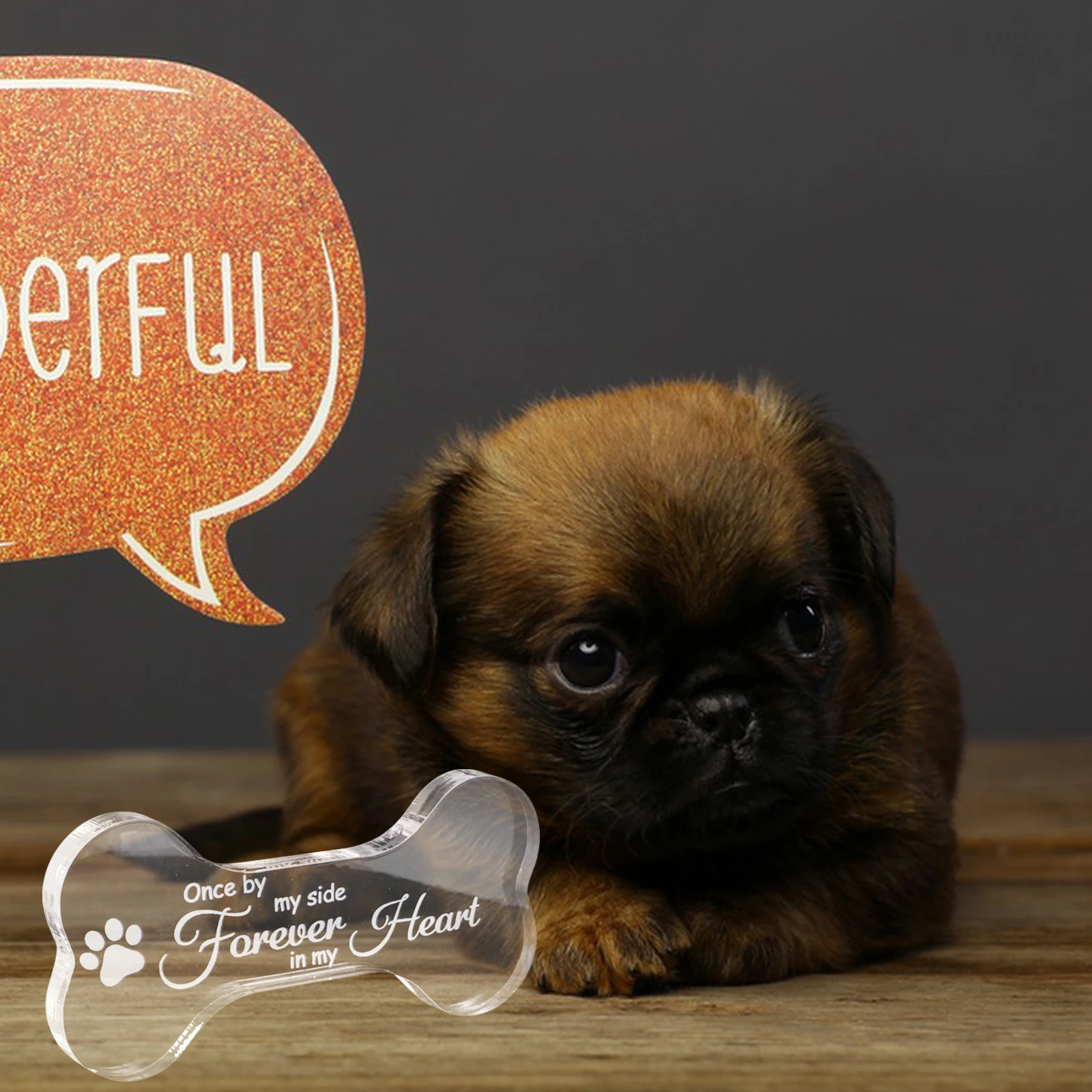 

Pet Memorial Plaque Dog Grave Marker Heartfelt Tribute Durable Material Gift Bone Shape Design Unique Remembrance Pet