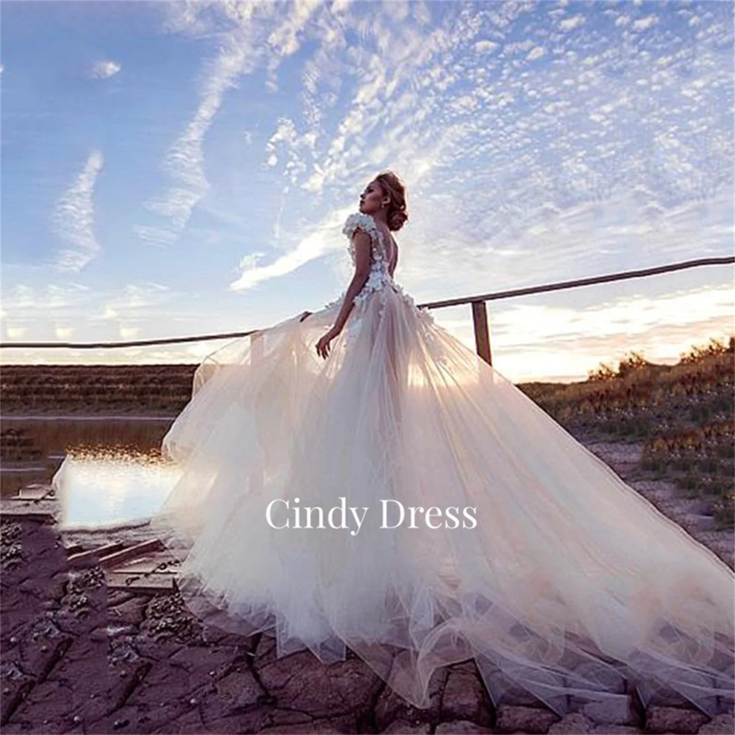 

Cindy Long Tail Lace Wedding Dress Chubby Elegant Party Dresses on Offer Liquidation Evening Woman Gala Prom 2024 Graduation