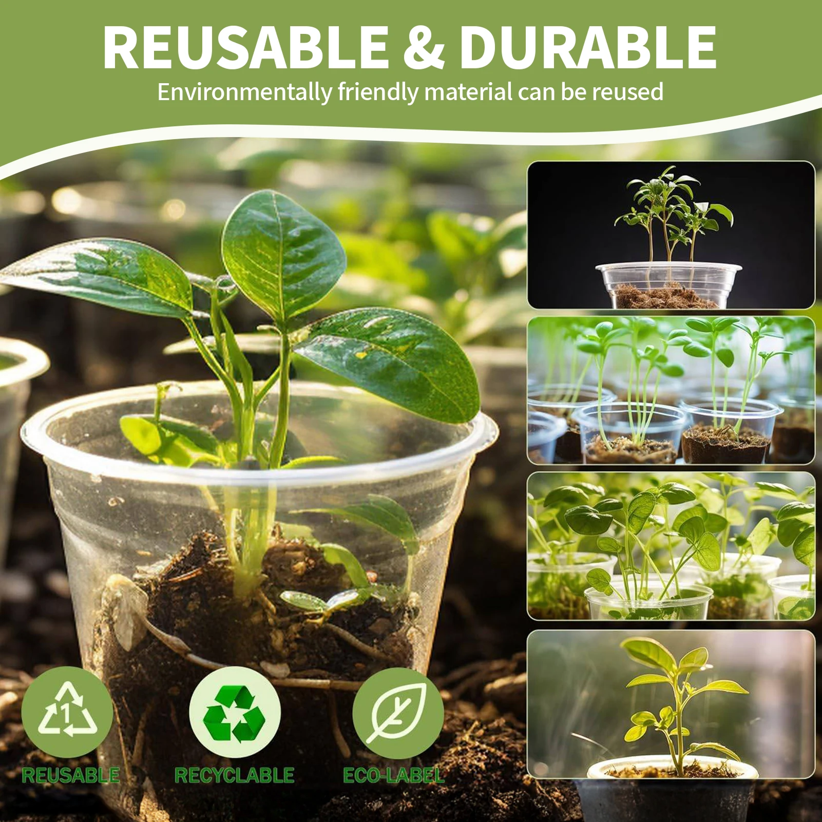 

Self Watering Plastic Plant Pots 5pcs Transparent Nursery Pots For Succulents Indoor Plants Automatic Hydroponic Flowerpot