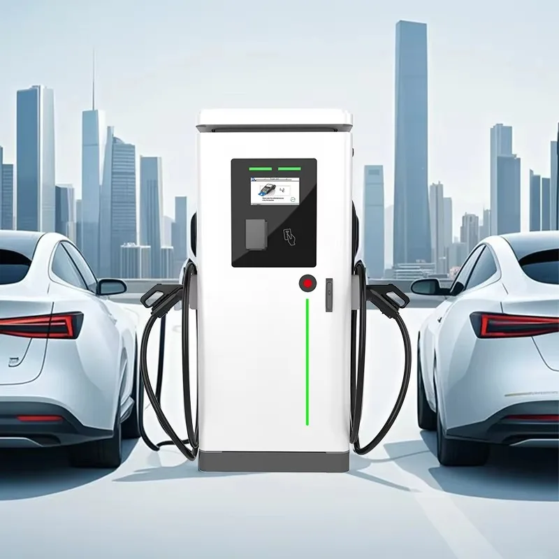 Customized 4g/Wifi Network Connection Dc Charging Pile Floor Standing Electric Vehicle CCS1/CCS2 240kW Fast Charging Station Wit