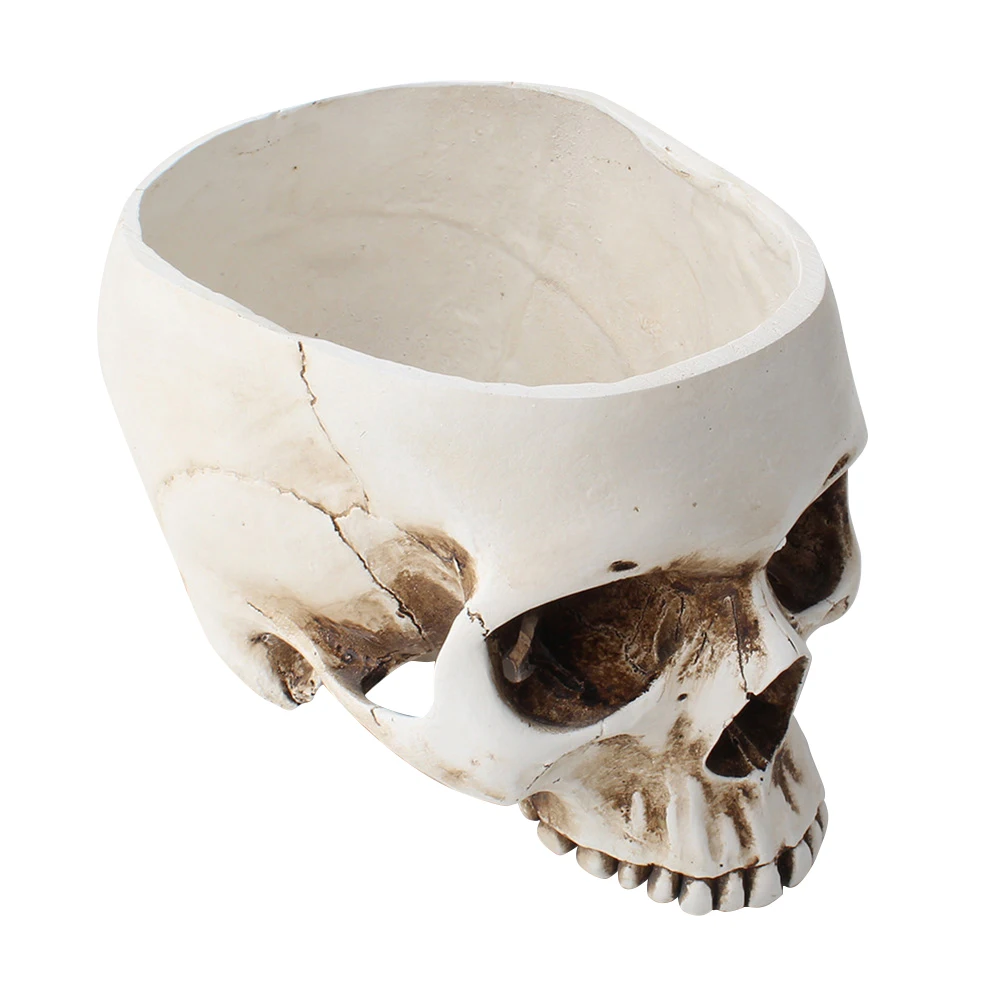 Resin Human Tooth Skull Model Desktop Flower Pot Planter Office Skeleton Craft