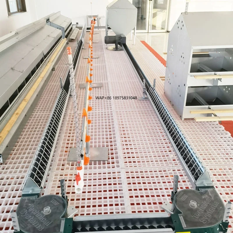 

High Quality Broiler Breeder Farm Equipment Female Hens Poultry Chain Feeding Equipment Price