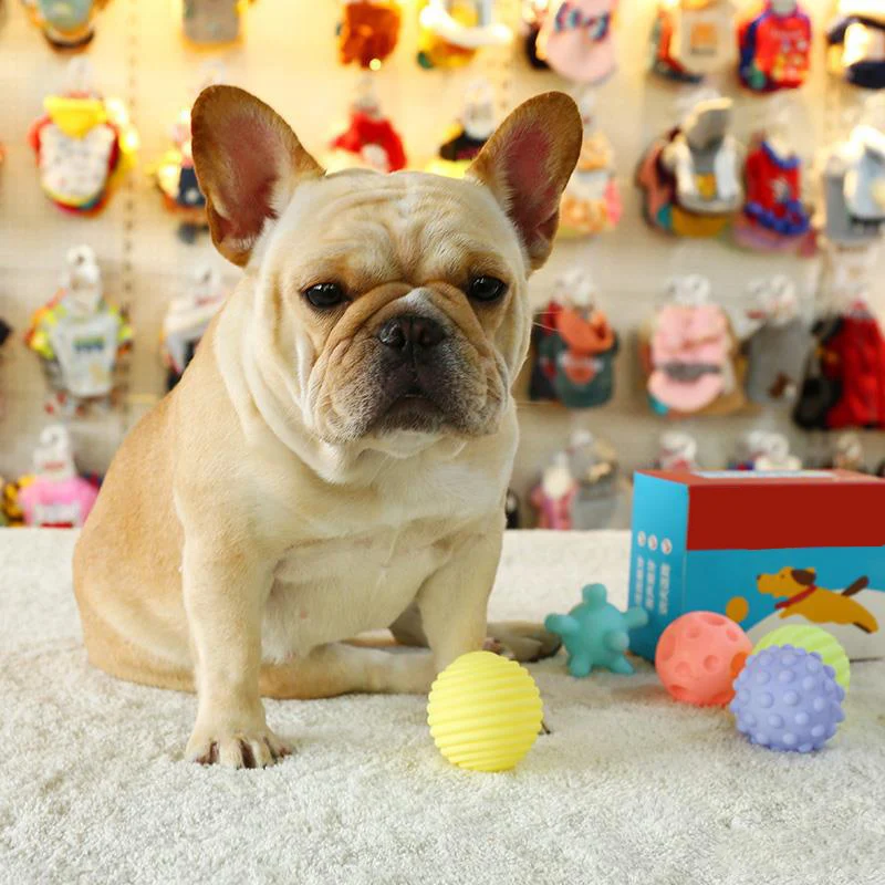 Diameter 6cm Pet Dog Ball Toys with Squeak for Small Dogs French Bulldog Chihuahua Bite Resistant Puppy Chew Toys Pet Supplies