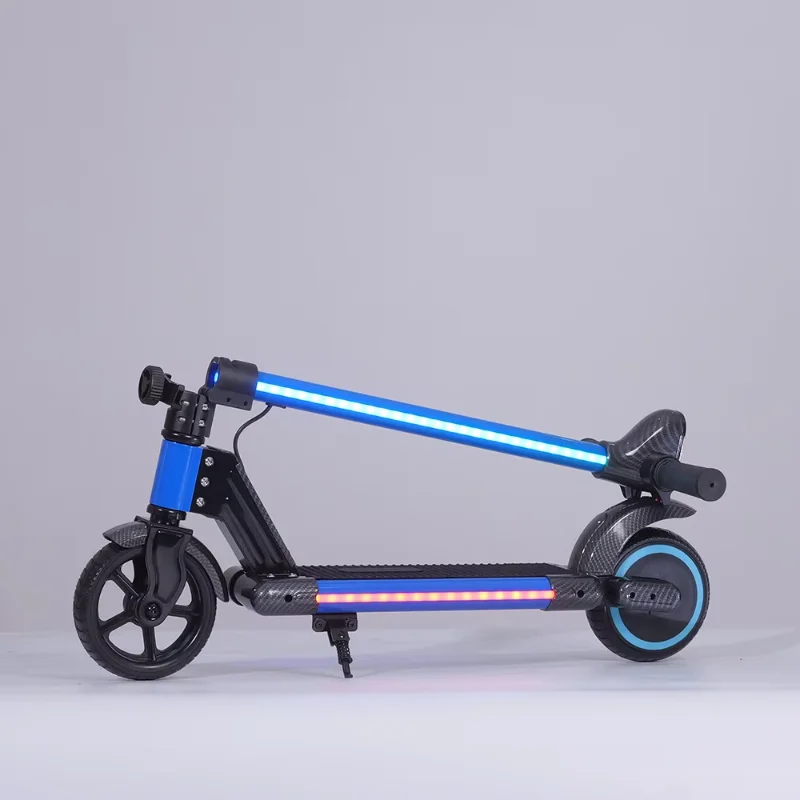 

Electric Kick Scooter, 24V 2.5A Folding E-Scooter,Balance Scooter with Stable Structure,Outdoor Riding Device for Kids Aged 8-12