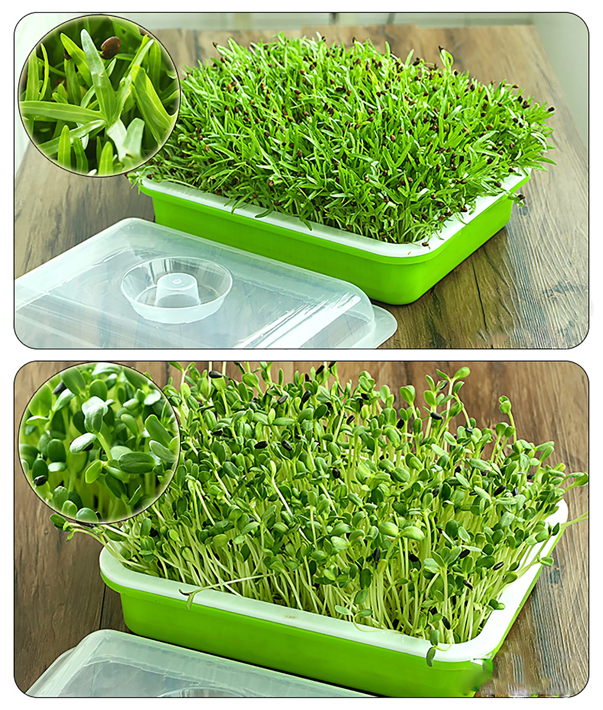 Seed Sprouter Tray Double Layer Soilless Bean Culture Hydroponic Nursery Plate Sprouting Pot Planter Garden Home Garden tools