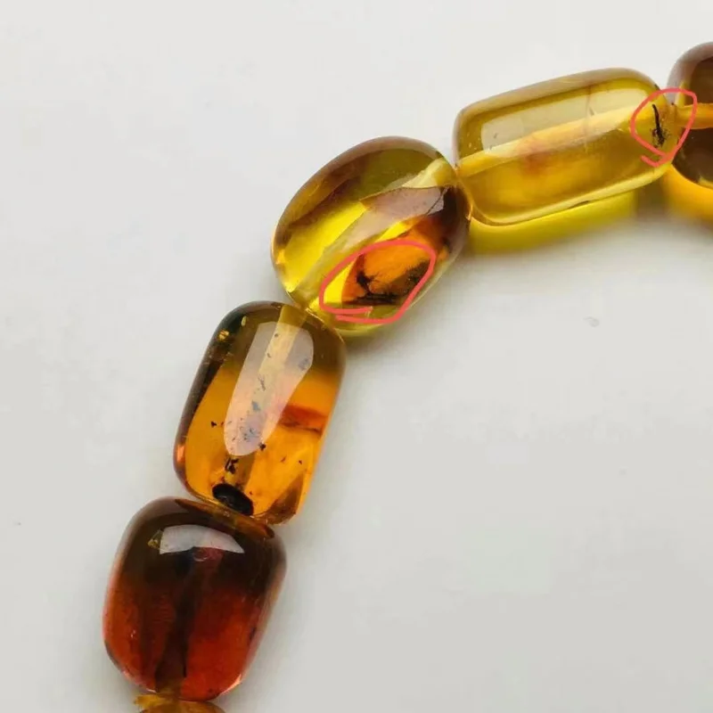 Natural Beeswax Amber Freeform Body Complete Single Loop Bracelet