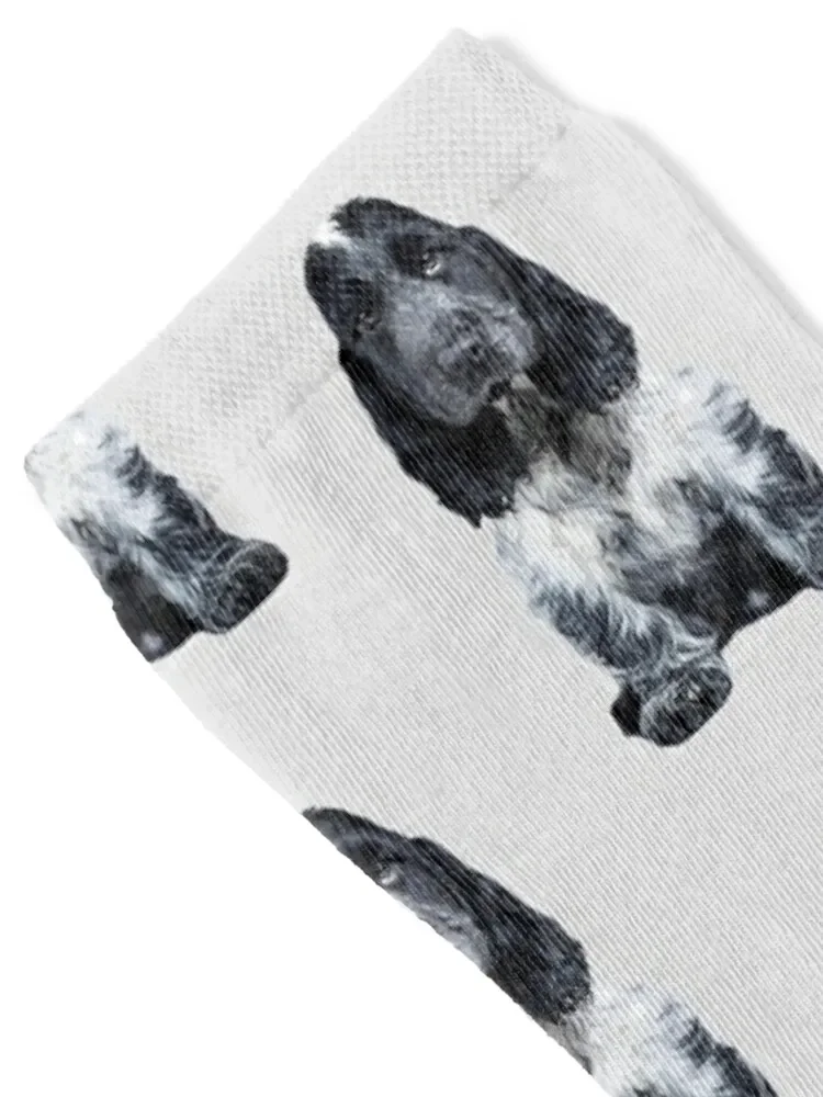 Cocker Spaniel Blue Roan Puppy Dog Socks Sports hiphop colored Woman Socks Men's