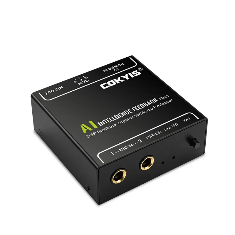 AI Audio Feedback Suppressor Dual Mic Processor Howling Device for KTV Conference Stage Sound Reinforcement System Model