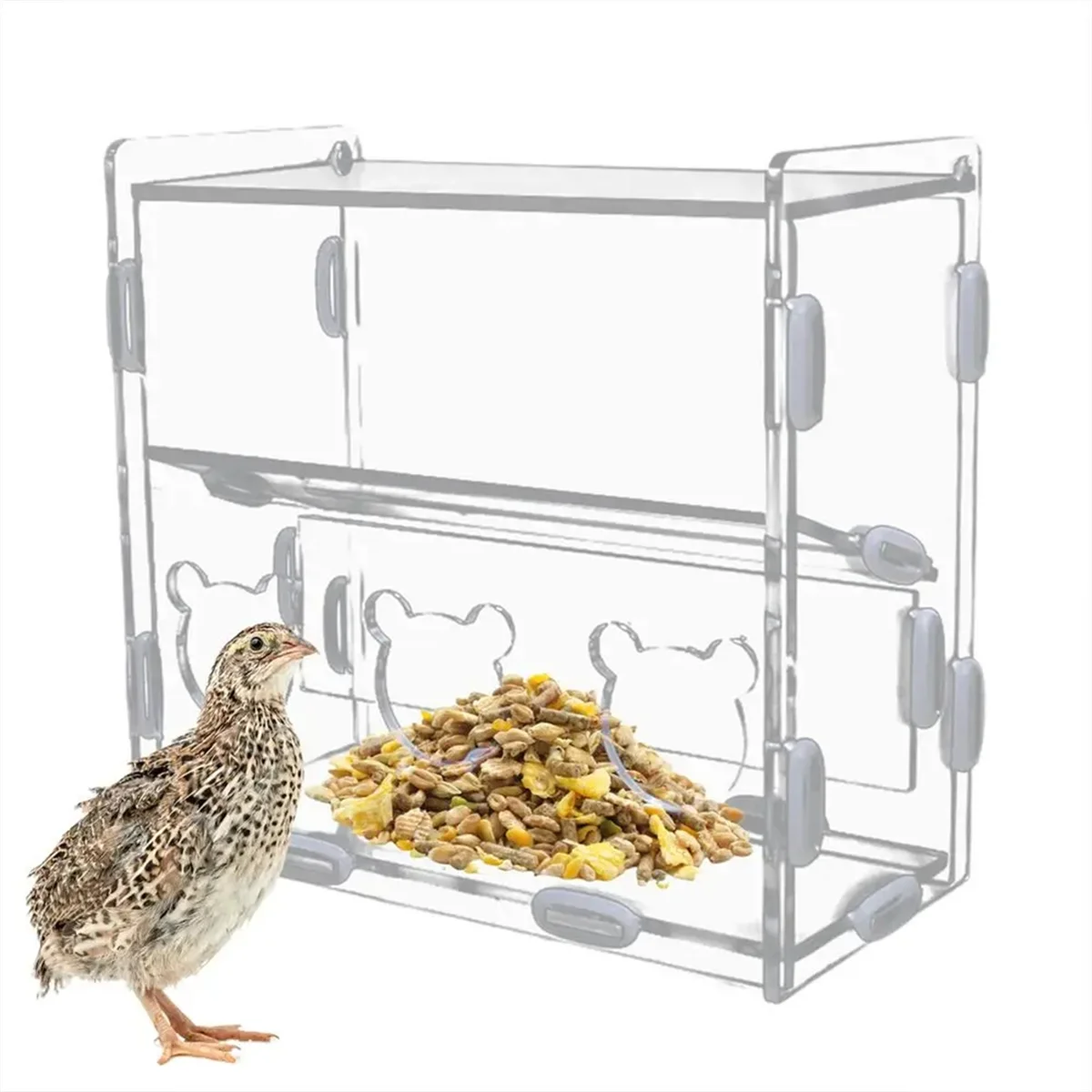 Parrot Feeder Box Acrylic Feeding Container No-Mess Multihole Food Box Clear Bird Food Dispenser Box for Finches Parrots