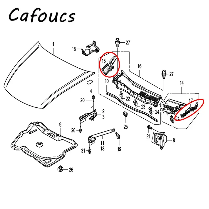 Couvercle de charnière de capot de moteur Cafoucs, garniture de capot pour Honda Accord, 2008, 2009, 2010, 2011, 2012, 2013, CP1, CP2, CP3